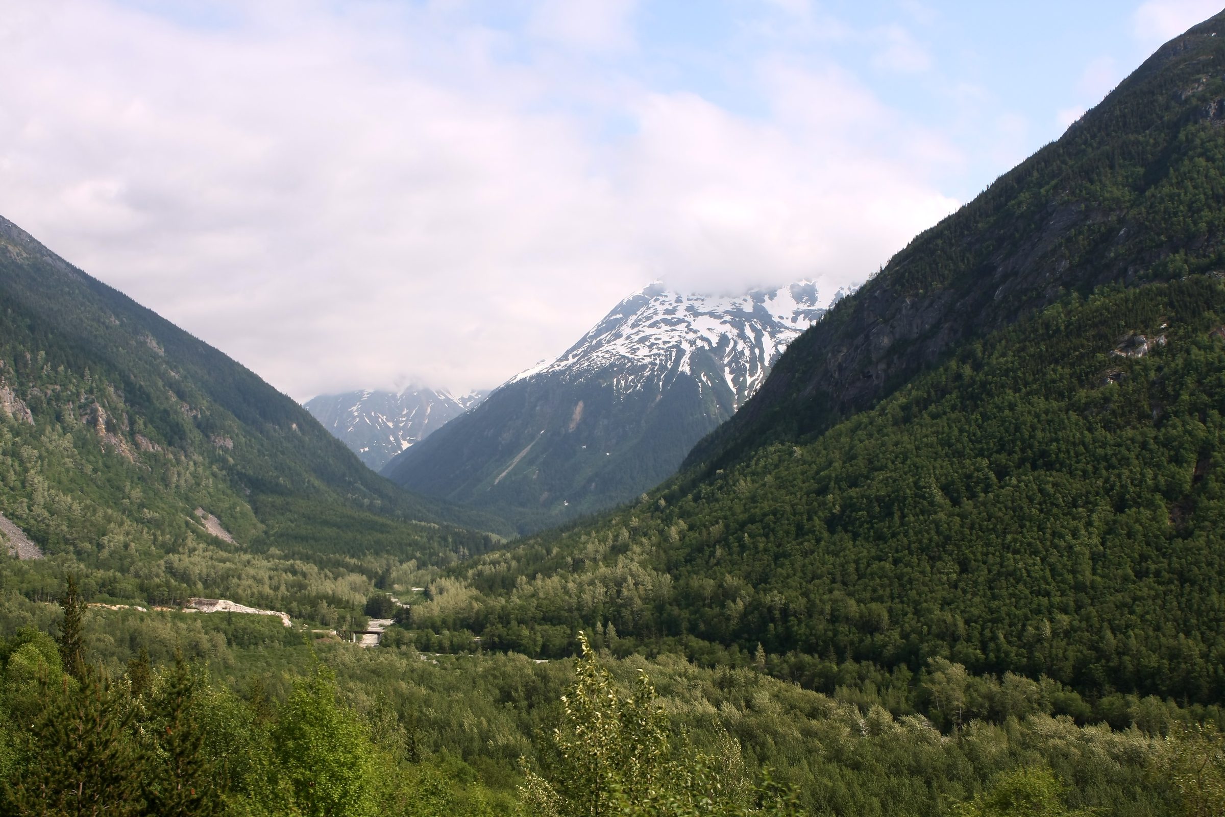 Soft green valley between steep forested slopes under overcast sky.