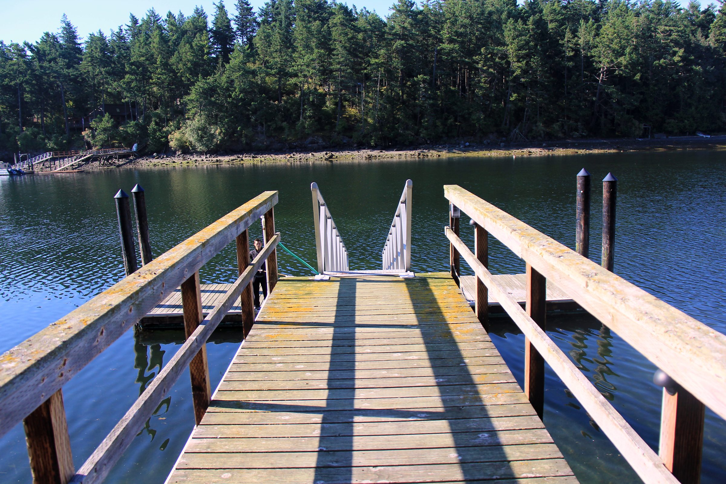 Wooden pier stretching into a calm lake edged by green trees.
