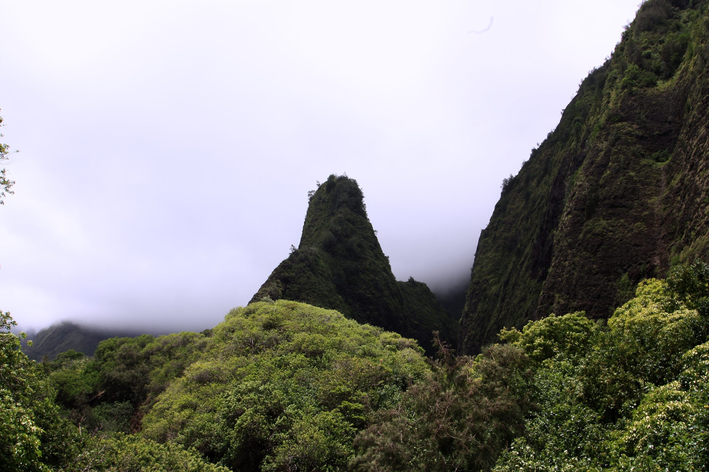 Sharp dark peak rising from misty green forest.
