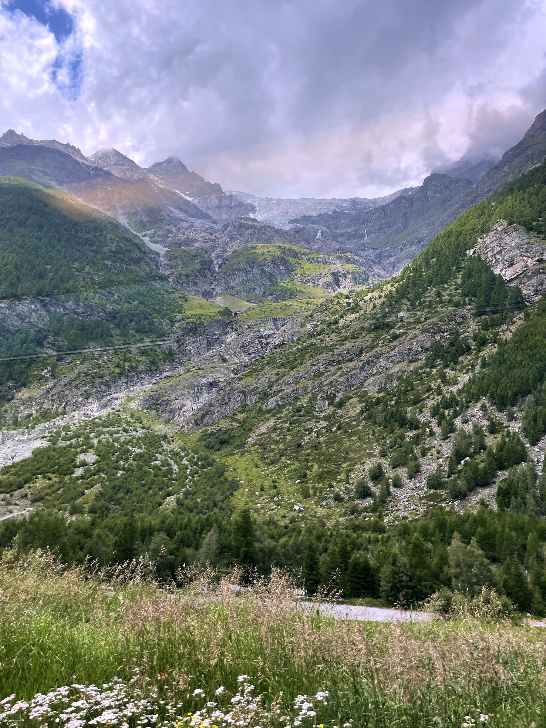 Rocky alpine valley with snow patches and green wildflower slopes.