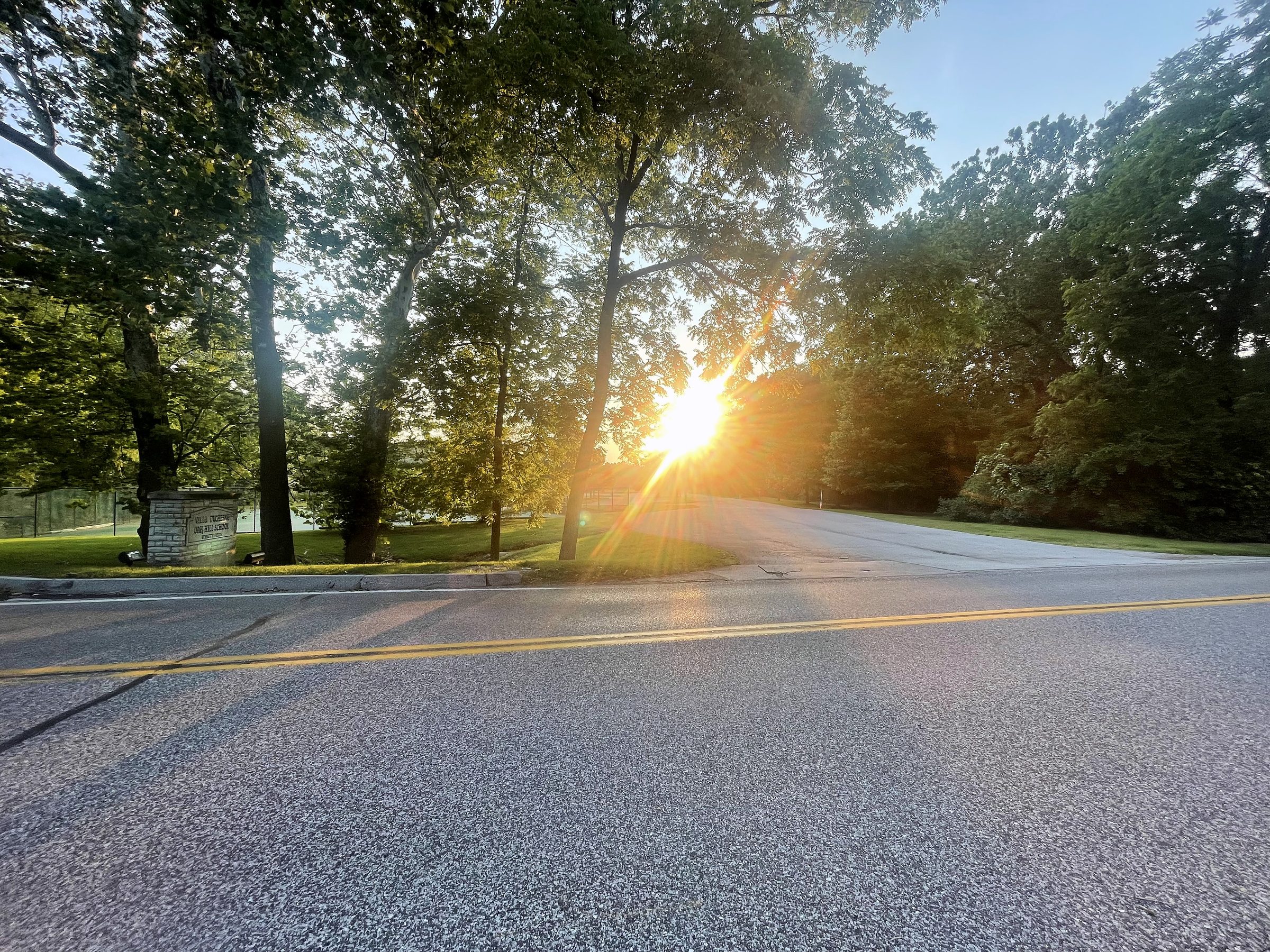 Sunburst through trees over asphalt with yellow parking lines.