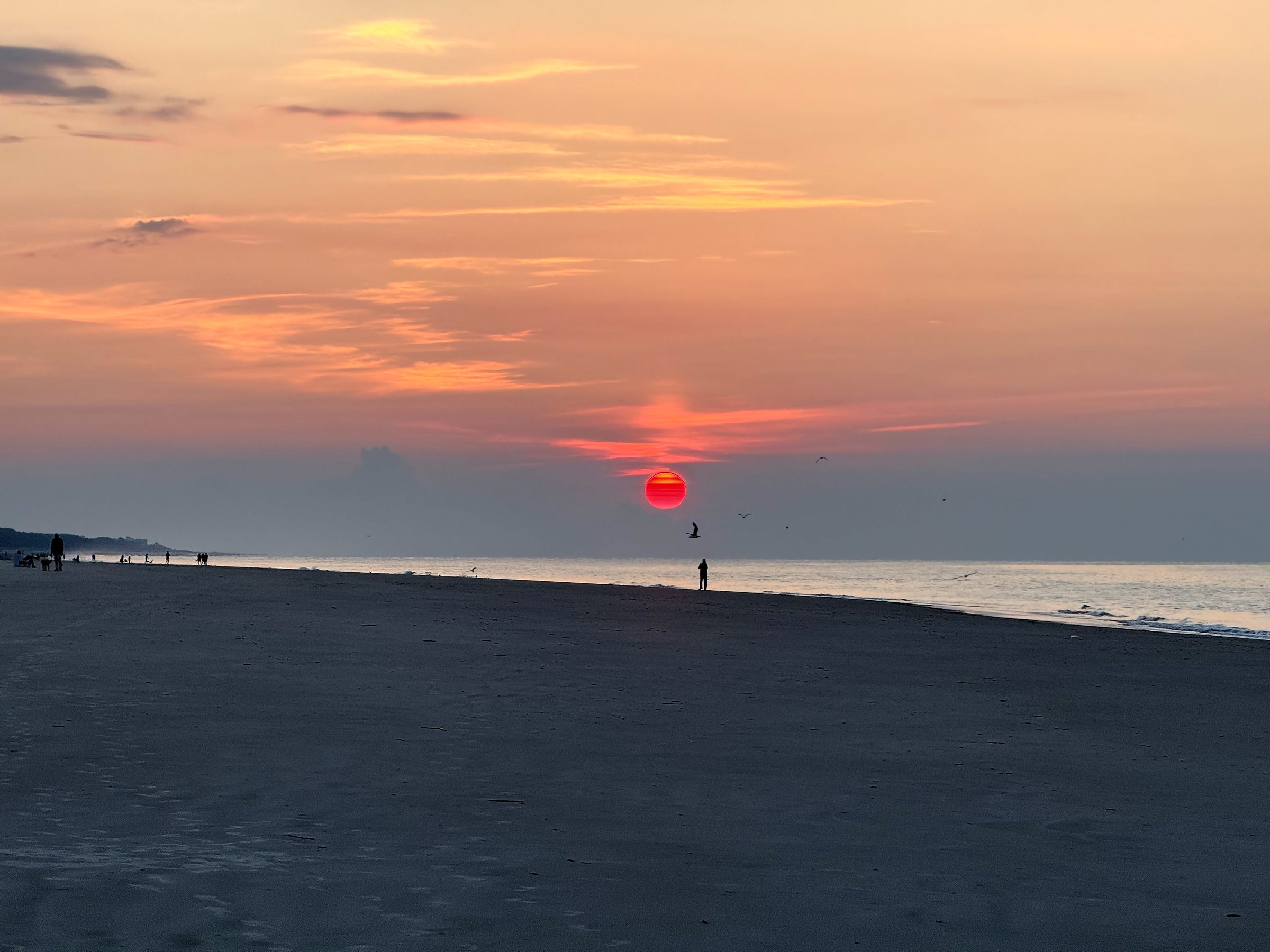 Dark beach at sunset with a small red sun and a distant walker.