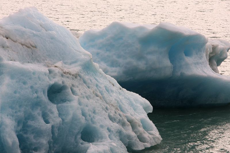 Jagged bright blue icebergs floating in dark water.
