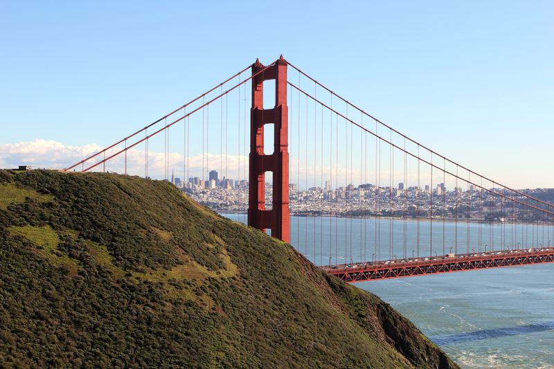 Golden Gate tower and cables seen from a steep green hillside.
