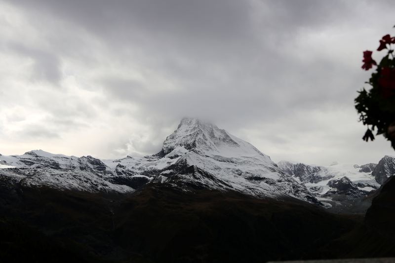 Overcast alpine ridge with dark foliage at the frame edge.
