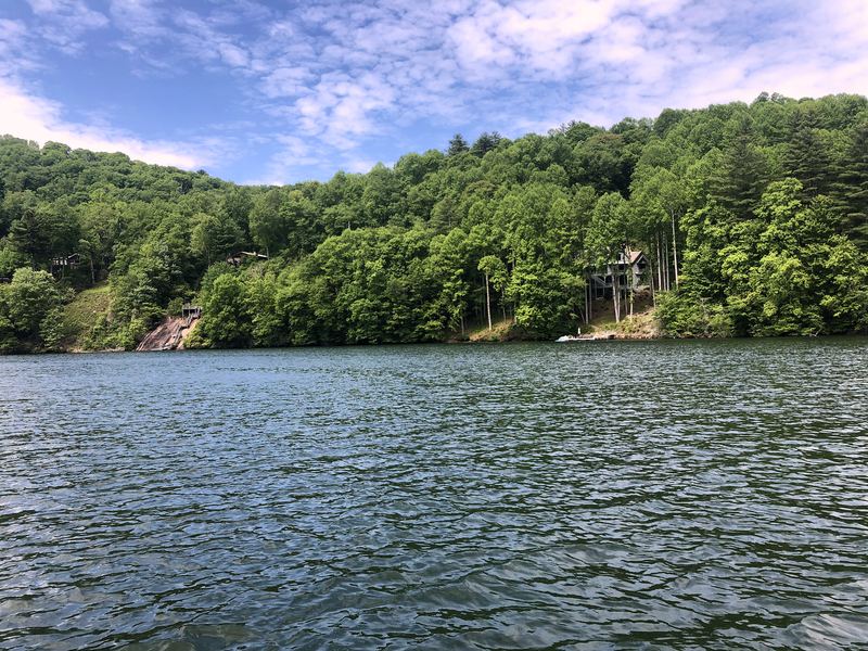 Calm lake ringed by dense green forest on a bright day.