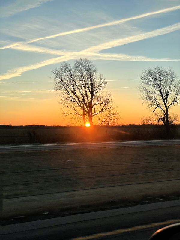 Orange dawn glow behind bare trees crossed by white contrails.