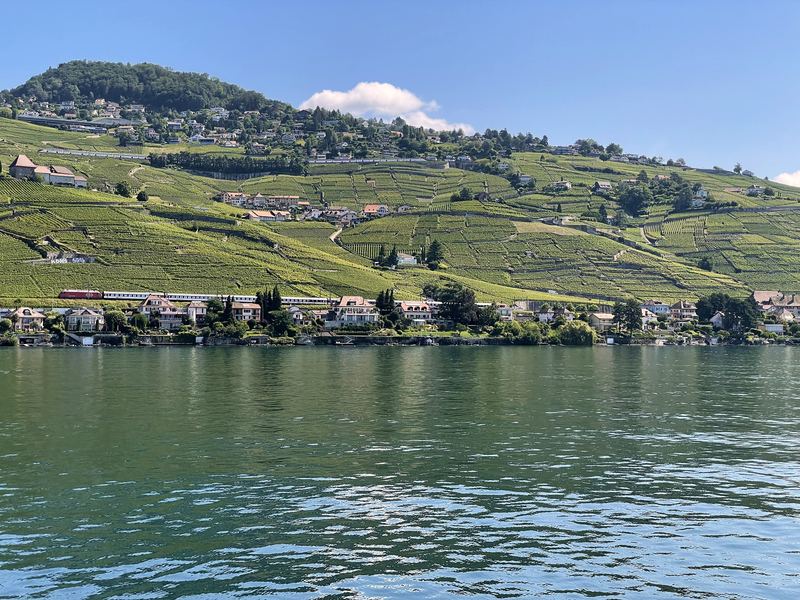 Terraced vineyards sloping down to clear blue lake water.
