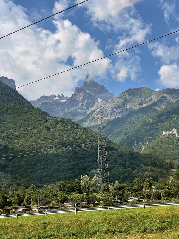 Snow peak seen through trees beside a power pylon under blue sky.