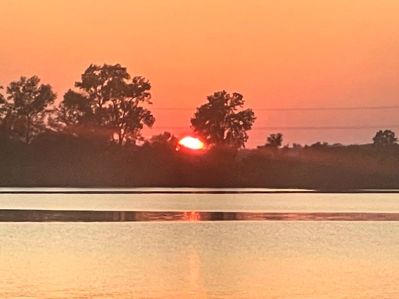 Red-orange half sun behind silhouetted trees over calm water.