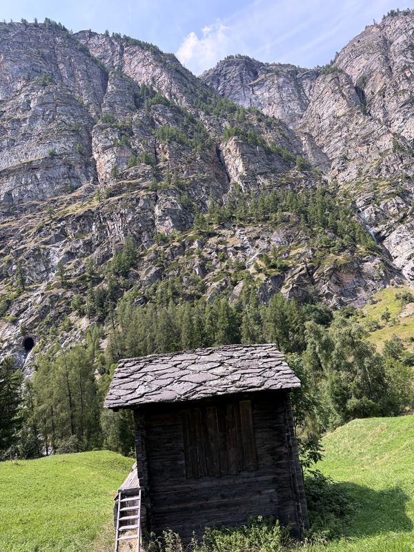 Wooden alpine shed with a ladder on a green Herbriggen hillside.